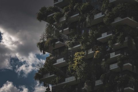 Какие инженерные системы требуются для фитостены в квартире Lumin House?